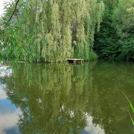 Nyaraló Am Mittelberg
